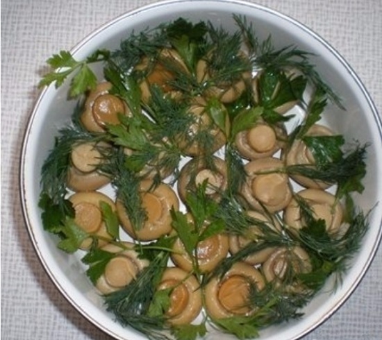 Салат «Лесная поляна»: рецепты приготовления с шампиньонами, морковью и маслинами