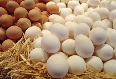 Таблица калорийности яиц
