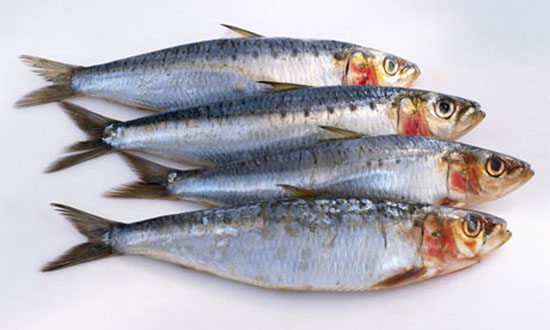 Еще одним натуральным источником цианокобаламина является рыба.