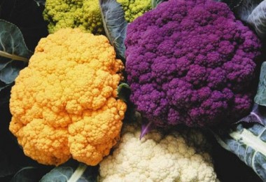 Какие вещества содержатся в съедобных соцветиях?