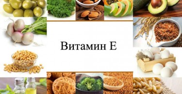 Продукты– безопасные природные источники витамина е