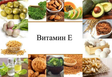 Продукты– безопасные природные источники витамина е