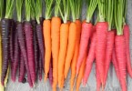 Польза моркови для организма человека