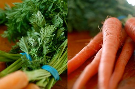 Ботва моркови: полезные свойства