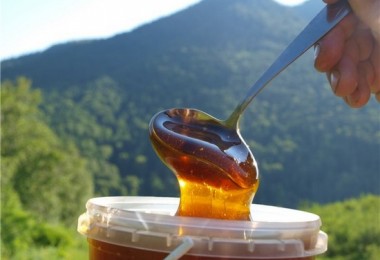 Горный мед (алтайский, липовый и другие): полезные свойства и противопоказания