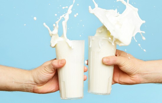 Вред молока для организма