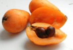 Мушмула: полезные свойства и вред фрукта, фото